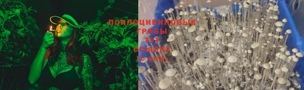 спайс Кулебаки