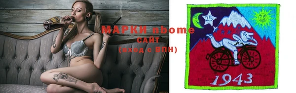 индика Кукмор