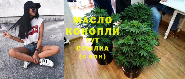 индика Кукмор
