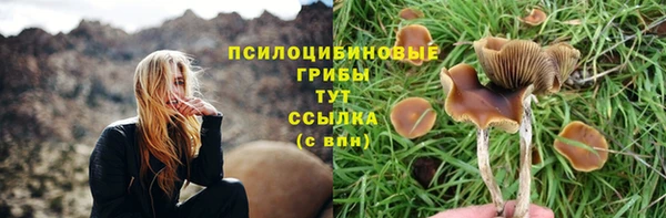 MDMA Куйбышев