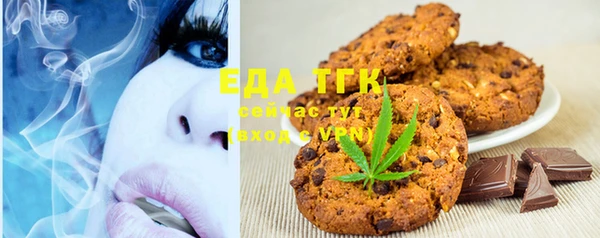 индика Кукмор