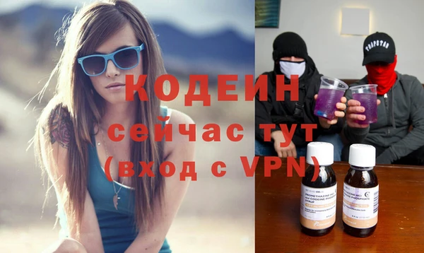 индика Лагань