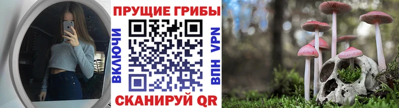 купить наркотики цена Ужур Псилоцибиновые грибы Cubensis